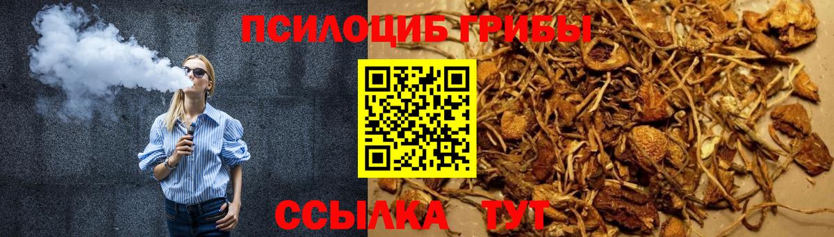 Урус-Мартан  Галлюциногенные грибы прущие грибы  Вход с VPN 
